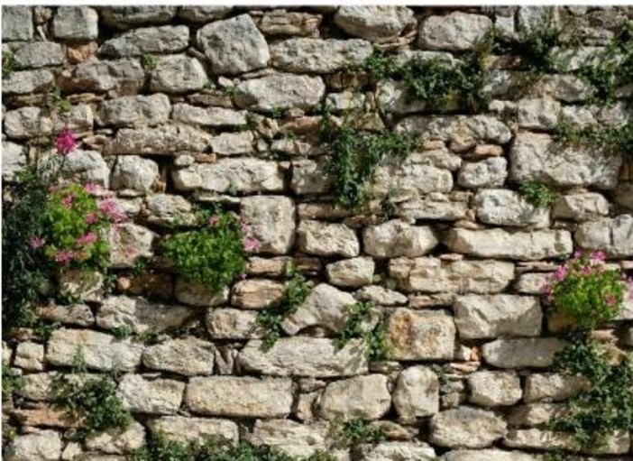 Les Souffleurs d’Avenir, Biot