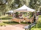 Beaulieu-sur-Mer celebra la natura: la “Journée au Jardin” raddoppia e conquista il pubblico Beaulieu-sur-Mer celebra la natura: la “Journée au Jardin” raddoppia e conquista il pubblico