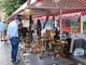 Cours Saleya a Nizza Cours Saleya a Nizza