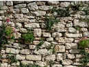 Les Souffleurs d’Avenir, Biot
