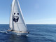 Blu Panda (sito WWF)