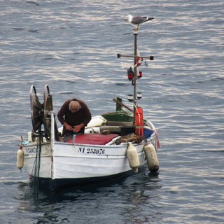 Lotta contro la pesca illegale: nel Principato obbligatoria una dichiarazione annuale per quella all'amo