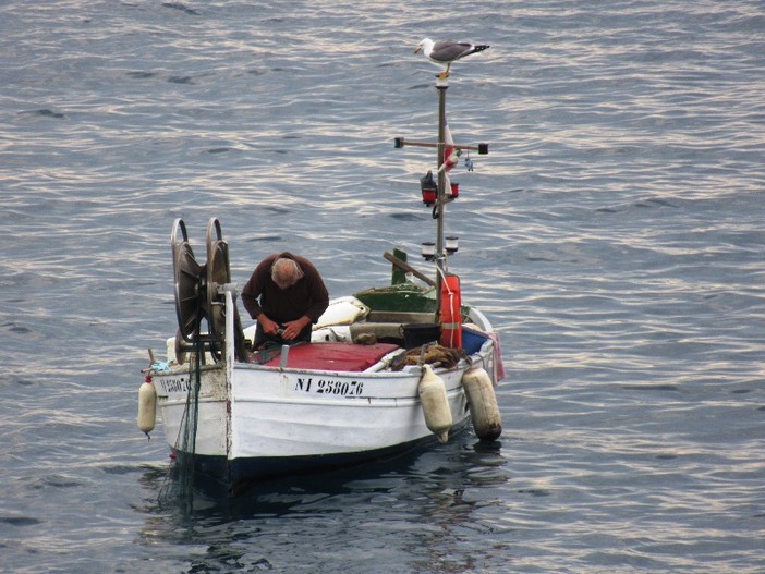 Lotta contro la pesca illegale: nel Principato obbligatoria una dichiarazione annuale per quella all'amo Lotta contro la pesca illegale: nel Principato obbligatoria una dichiarazione annuale per quella all'amo