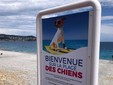 Nizza, spiaggia riservata ai cani Nizza, spiaggia riservata ai cani