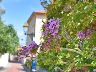 Foto 3: Shopping e sosta gastronomica in un luogo privilegiato; Foto 3: Shopping e sosta gastronomica in un luogo privilegiato;