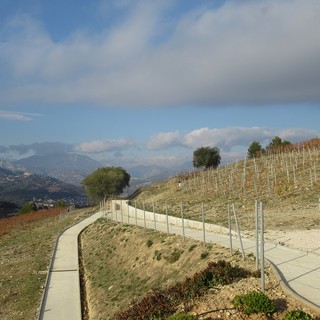 Nizza, le colline di Bellet