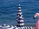 "Buon ferragosto" di Jean Pascal Galeotti "Buon ferragosto" di Jean Pascal Galeotti
