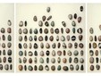 Galets (Triptyque), 1983-84, acrylique sur toile, 3 x (80 x 80) cm, Collection Ville de Nice / Donation Ferrero © Michel COEN