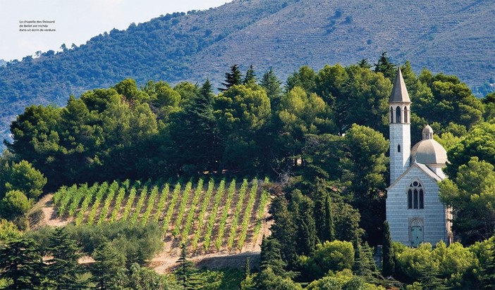 Le vigne di Bellet a Nizza Le vigne di Bellet a Nizza