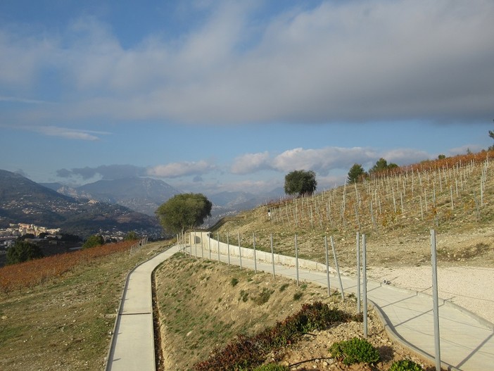 Nizza, le colline di Bellet Nizza, le colline di Bellet