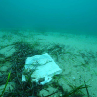 Immagine di repertorio