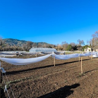 La scuola di orticoltura biologica a Cannes