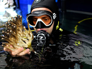 Sequenza inaugurale, Museo oceanografico di Monaco, 24 ottobre 2025 © Philippe Fitte / Institut océanographique. Sequenza inaugurale, Museo oceanografico di Monaco, 24 ottobre 2025 © Philippe Fitte / Institut océanographique.