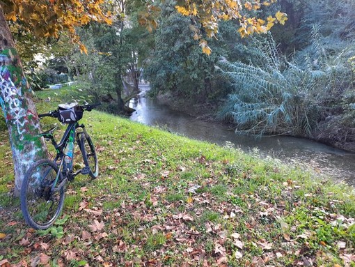 Il sentiero di Cagnes sur Mer, foto di Danilo Radaelli Il sentiero di Cagnes sur Mer, foto di Danilo Radaelli