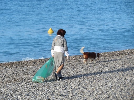 "Cane da caccia...ai rifiuti", fotografia di Anselmo Martini "Cane da caccia...ai rifiuti", fotografia di Anselmo Martini