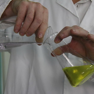 Pieve di Teco, i chimici del ‘Galilei’ incontrano la comunità per analizzare gratuitamente l’olio extravergine di oliva Pieve di Teco, i chimici del ‘Galilei’ incontrano la comunità per analizzare gratuitamente l’olio extravergine di oliva