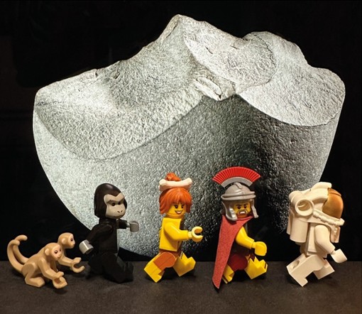 Nizza, gli appuntamenti con la cultura nel mese di luglio Nizza, gli appuntamenti con la cultura nel mese di luglio