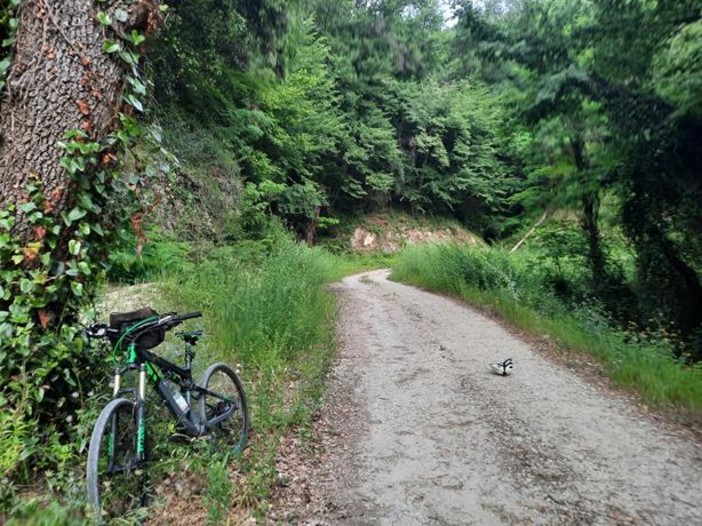 Castagniers e i suoi sentieri, fotografie di Danilo Radaelli