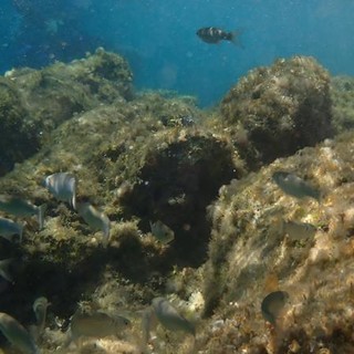 Sottocosta …a cura di Ghjuvan Pasquale