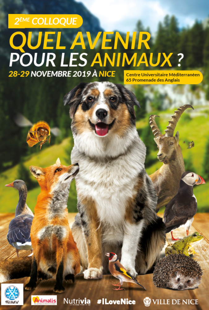 Quale futuro per gli animali? Se ne discute a Nizza Quale futuro per gli animali? Se ne discute a Nizza