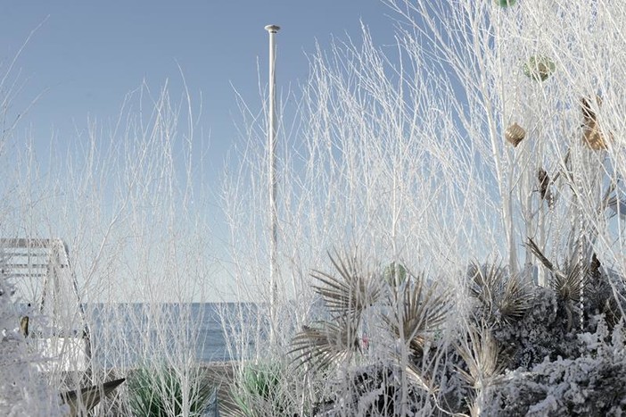 Angoli di Cannes, fotografie di Silvia Assin Angoli di Cannes, fotografie di Silvia Assin