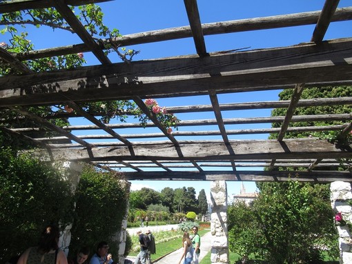 Cimiez, il giardino Cimiez, il giardino