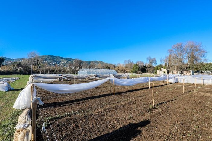 La scuola di orticoltura biologica a Cannes