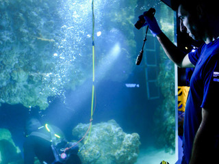 Sequenza inaugurale, Museo oceanografico di Monaco, 24 ottobre 2025 © Philippe Fitte / Institut océanographique. Sequenza inaugurale, Museo oceanografico di Monaco, 24 ottobre 2025 © Philippe Fitte / Institut océanographique.