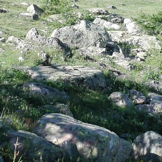 Col de la Cayolle foto di Danilo Radaelli