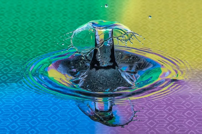 "Tutti Frutti &amp; Sculptures Ephémères" Christian Gleises a Parc Phoenix