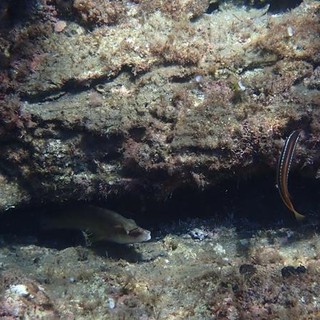 Sottocosta …a cura di Ghjuvan Pasquale