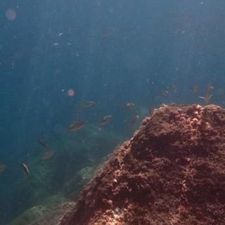 Sottocosta …a cura di Ghjuvan Pasquale