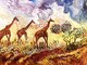 Corine Dechauffour, Giraffe Running, olio su tela