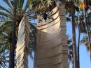 Cannes, l'intervento di pulizia sulla statua @mairie de Cannes