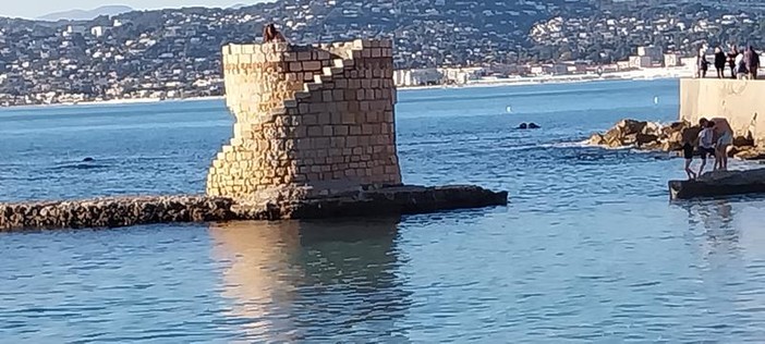 Cap d'Antibes, foto di Danilo Radaelli