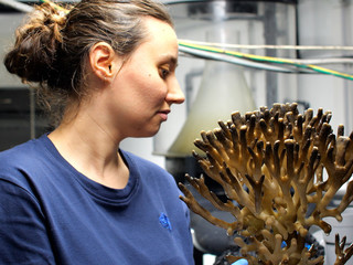 Sequenza inaugurale, Museo oceanografico di Monaco, 24 ottobre 2025 © Philippe Fitte / Institut océanographique. Sequenza inaugurale, Museo oceanografico di Monaco, 24 ottobre 2025 © Philippe Fitte / Institut océanographique.