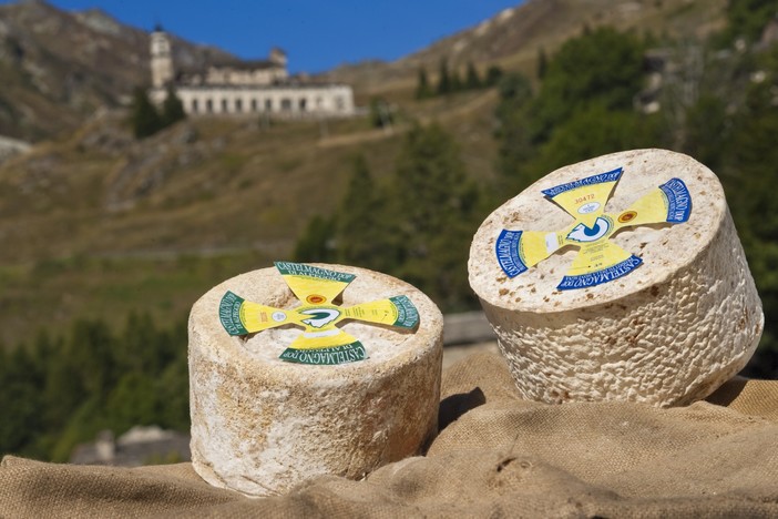 Il Castelmagno celebra la sua prima festa a settembre Sabato 15 e domenica 16 a Pradleves Il Castelmagno celebra la sua prima festa a settembre Sabato 15 e domenica 16 a Pradleves