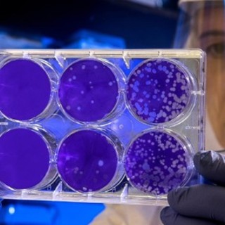 Coronavirus, salgono a 81 le persone positive nel Principato di Monaco
