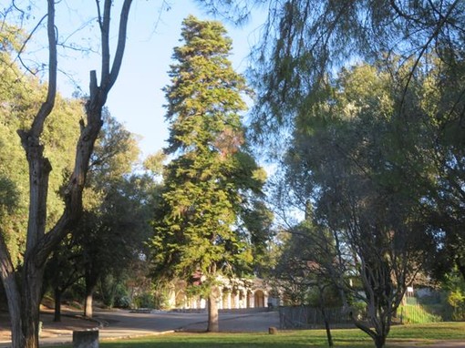 Colline du Château, Nizza Colline du Château, Nizza