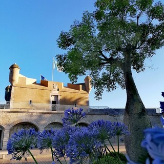 "Colori tenui", fotografia di Luisella Cappio