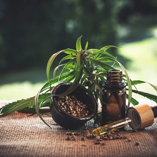 Mercato del CBD in Europa: quasi alla pari con il Nord America ora