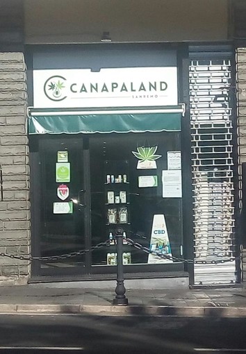 Canapaland una nuova realtà economica ligure che fonda le sue radici sulla coltivazione e la vendita della Cannabis light