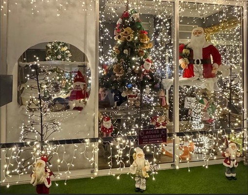 Cats Palace Hôtel @DR