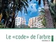 A Montecarlo nasce il "Codice" per preservare gli alberi. Ecco di cosa si tratta