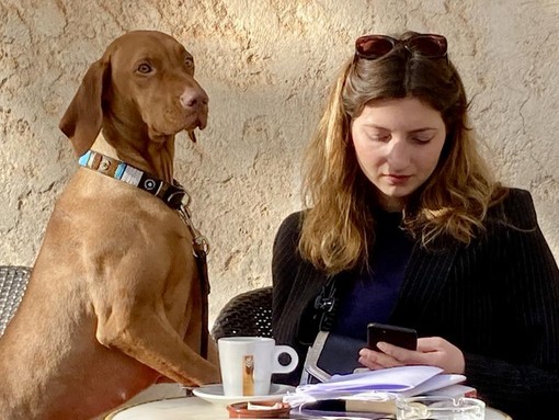 Vita da cani in Costa Azzurra, fotografie di Silvia Assin Vita da cani in Costa Azzurra, fotografie di Silvia Assin