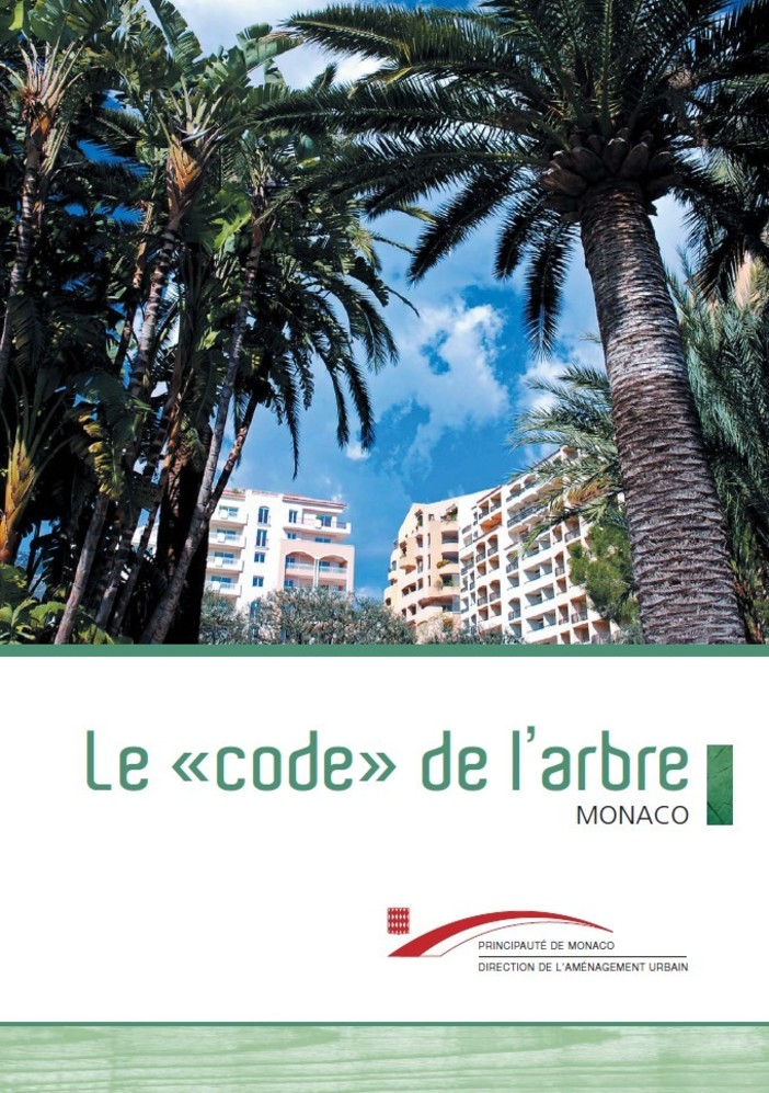 A Montecarlo nasce il "Codice" per preservare gli alberi. Ecco di cosa si tratta
