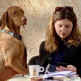 Vita da cani in Costa Azzurra, fotografie di Silvia Assin