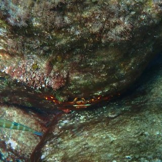 Sottocosta …a cura di Ghjuvan Pasquale