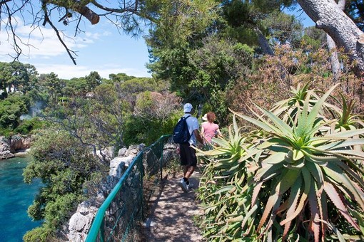 Cap d'Antibes, Sentier de Tirepoil @Ville d Antibes Juan les Pins Cap d'Antibes, Sentier de Tirepoil @Ville d Antibes Juan les Pins