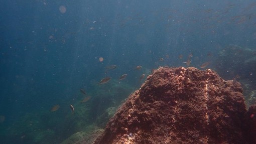 Sottocosta …a cura di Ghjuvan Pasquale